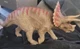 Schleich Triceratops Dinosaur Toy Figure