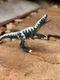 Hasbro Jurassic Park 1997 Cyclops Velociraptor JP13 9&rdquo; Dinosaur Action Figure
