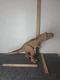 Jurassic World Epic Roarin' Tyrannosaurus Rex Dinosaur Sound T Rex Mattel 2020