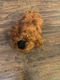Ty Beanie Baby "DUKE" Secret Life of Pets 8 Inch Stuffed Toy 2016 (No Hang Tags)