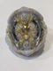 Beyblade Burst Regalia Genesis Hybrid GT Takara Tomy B-153