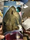 Star Trek Bele Warp Factor Series 5 1998 Playmates Action Figure New