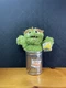 Sesame Street OSCAR THE GROUCH stuffed animal 10"/25cm soft plush toy GUND - NEW