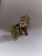 RESCUE RANGER Chip with map PVC figure 2", Disney Applause
