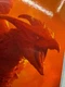 NECA Godzilla King Of The Monsters Rodan NIB