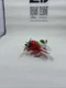 2013 Mattel Disney Pixar Planes El Chupacabra Diecast Airplane #5