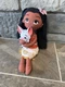 Disney Princess MOANA Holding PUA Pig 14" Plush Doll Just Play Lil Friends Toy
