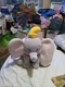 NWT Disney Store Dumbo 14" Plush Stuffed Animal 