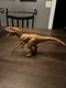 Jurassic World Epic Evolution Wild Roar Megalosaurus Dinosaur Figure Mattel.  B4