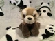 Kid&rsquo;s Raccoon Plush 5&rdquo; Inch Stuffed Animal Toy