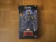 Marvel Legends Richard Rider The Man Called Nova Action Figure Exclusive 2021