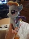 My Little Pony MLP 10" Plush Hasbro Aurora Rainbow Dash Friendship is Magic NEW