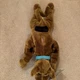 Scooby Doo Genuine Cartoon Network (2218) Stuffed/Plush Talking Scooby Doo Works