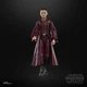 Star Wars the Phantiom Menace Black Series Padme Amidala Action Figure HASBRO