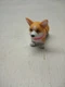 Zuru Pets Alive - BOOTY SHAKIN' PUPS - CORGI Battery Powered Moves Wiggles