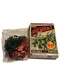 Schylling Retro "Miniature Soldiers" 60 Pieces and Includes Two Armies (NIB)