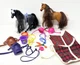 Dreamworks Spirit Horse Lot with Accessories Mixed lot saddles blankets more