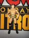 CUSTOM MATTEL UWF TERRY GORDY WWE WCW WWF WCCW