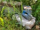 Jurassic World Velociraptor Blue Dinosaur Hard Plastic Mask | Jurassic Park NEW