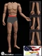 WorldBox 1/6 seamless forearm arm set AT020 S C for AT011 AT025 AT020 Body ❶USA❶