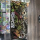 NECA Eastman and Laird's Teenage Mutant Ninja Turtles Action Figure 4-Pack 2023