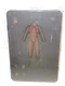 Vampirella 1:12 Scale Action Figure TBLeague Brand New Sealed