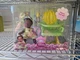 Disney My First Disney Princess Little Tiana Royal Feeding Time Set 10in