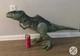 Jurassic World Dominion Super Colossal Giganotosaurus