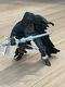 Papo Faceless Horseman Fantasy Figure 38945 New With Tags