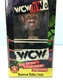 WCW&nbsp;NWO Diamond Dallas Hand Painted Bobble Head Big Boy Collectible Figure 1998 