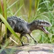 Jurassic Indominus Rex