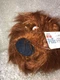 The Secret Life Of Pets 18" Duke Stuffed Animal Plush Toy Universal Studios