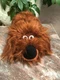TY Beanie Babies Baby Secret Life of Pets DUKE 8&rdquo; Plush Toy Dog Stuffed NWT