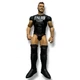 WWE FINN BALOR The Demon Exclusive Fan Central Wrestling Action Figure