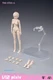 86TOYS 1/12 T86-ST03-A Pale Skin Large Breast 6" Female Figure Head Body Dolls