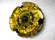 Takara Tomy Metal Fight Beyblade BB-99 Heller Kelbeks BD145DS Used