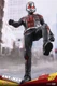 Hot Toys Ht 1/6 Mms497 Superhero  Ant-Man  Action Figure In Stock