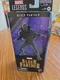 Hasbro Marvel Legends Series Black Panther 6-Inch Action Figure