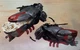 NEW Netflix Rebel Moon IMPERIUM DROPSHIP Collectible 3D Figural 7in Popcorn Bowl