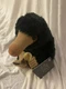 The Noble Collection Fantastic Beasts Harry Potter Niffler Plush