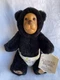 Raikes Bears 7" Nathan Black Bear 1990 Nursery Applause Plush Collectible NWT