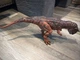 Jurassic World Hammond Collection Fallen Kingdom Carnotaurus Action Figure