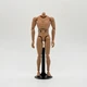 ZYTOYS 1/6 Scale Nude Body with Metal Stand Narrow Shoulder B001 For 12'' Figure