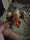 DONKEY KONG 10" Nintendo Super Mario Bros Plush Toy Stuffed Licensed