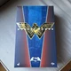Hot Toys WONDER WOMAN Batman vs Superman  1/6 Scale Figure MMS359 New BvS US