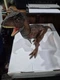 Mattel Jurassic World Action Attack Carnotaurus Dinosaur Figure UT10