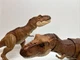 Jurassic World 2017 Legacy Collection Roaring  ￼ Tyrannosaurus Tex Brown  (2) 🔥