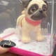 Zuru Pets Alive Booty Shakin&rsquo; Pups Lot Of 2 Pug & Frenchie - NWT - Sealed