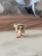 Disney Doorables Mini Figure Tigger Winnie The Pooh Series 6 Just Play Rare