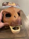NEW Jurassic World T-REX TYRANNOSAURUS REX Brown Dinosaur Mask Moveable Jaw